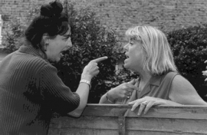 Q&A: Resolving a boundary dispute with a neighbour 1 neighbours-arguing