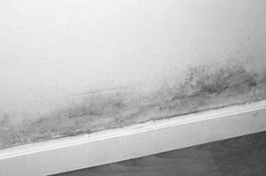 wall-condensation