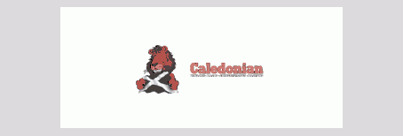 caledonian windows conservatories logo